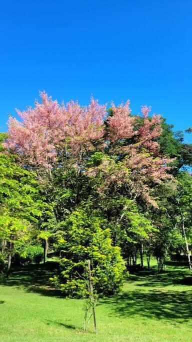 Recanto Dos Beija Flores, Chale Bougainville Monte Alegre do Sul Esterno foto