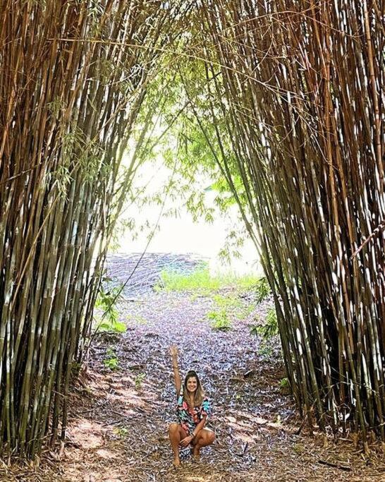 Recanto Dos Beija Flores, Chale Bougainville Monte Alegre do Sul Esterno foto