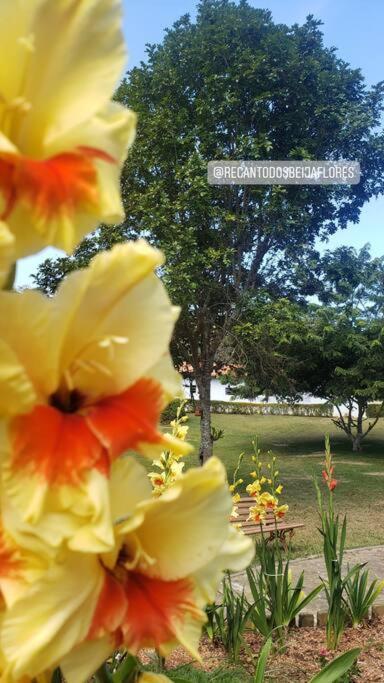 Recanto Dos Beija Flores, Chale Bougainville Monte Alegre do Sul Esterno foto